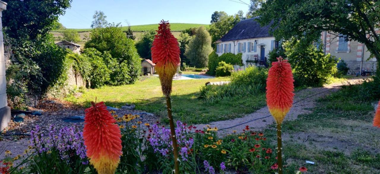 Chateau De Saint Etienne Eksteriør bilde